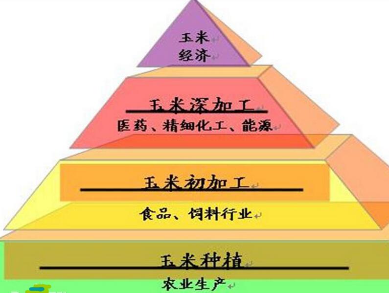 河南糧院玉米深加工設(shè)備提供玉米經(jīng)濟金字塔 河南糧院玉米深加工設(shè)備提供玉米經(jīng)濟金字塔